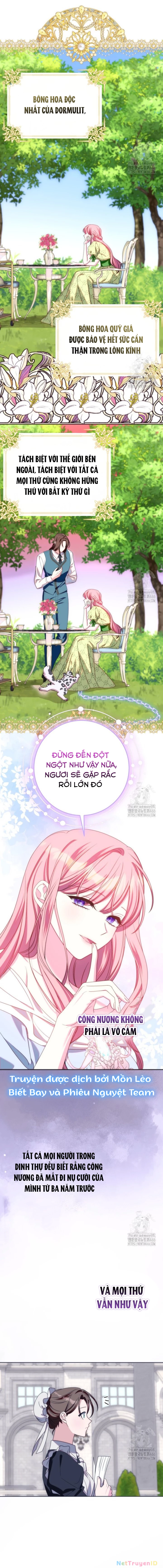 Tôi Gặp Nam Chính Trong Tù Chapter 47 - Trang 2