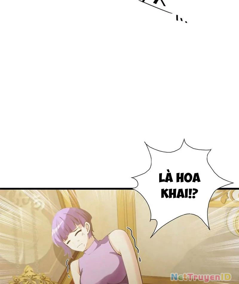 Đô Thị Thánh Thủ: Ta Là Y Võ Đỉnh Phong Chapter 74 - Trang 2