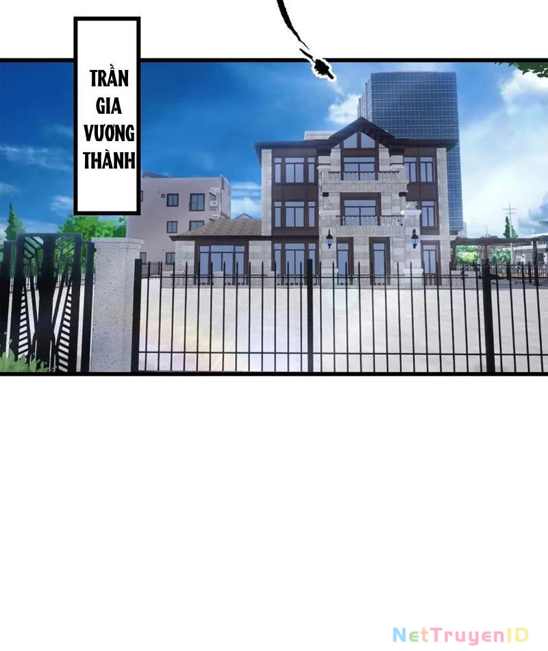 Đô Thị Thánh Thủ: Ta Là Y Võ Đỉnh Phong Chapter 77 - Trang 2