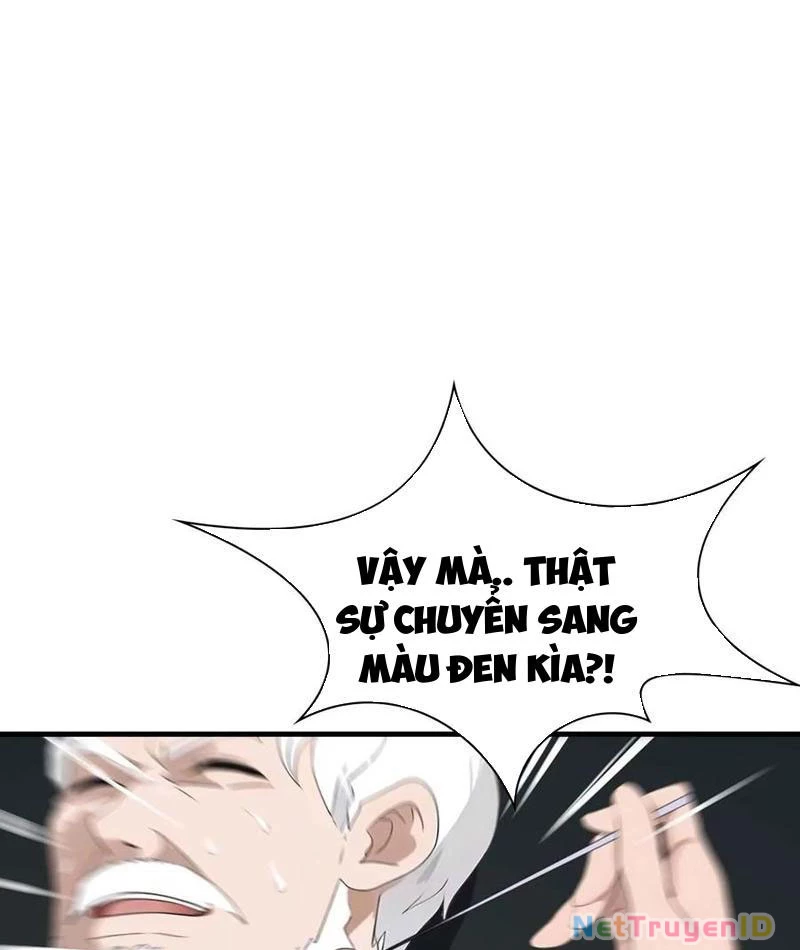 Đô Thị Thánh Thủ: Ta Là Y Võ Đỉnh Phong Chapter 86 - Trang 2