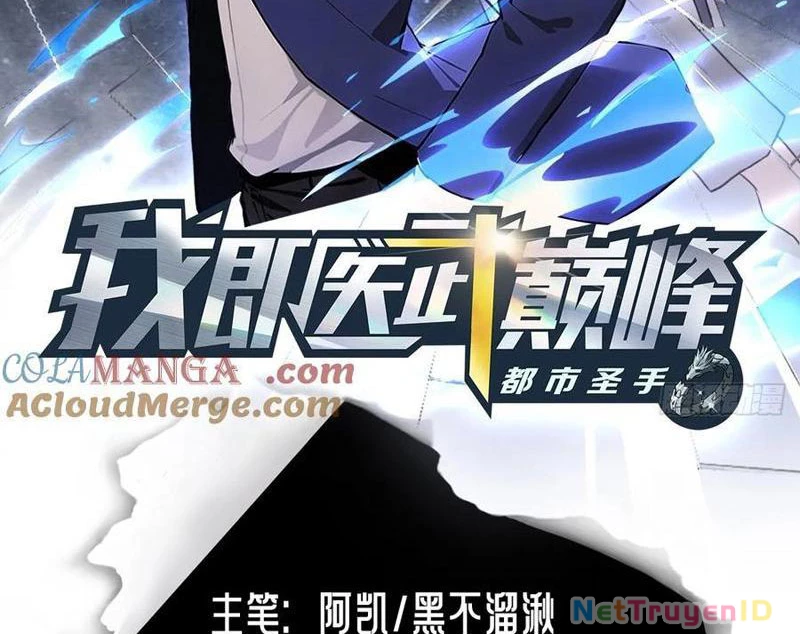 Đô Thị Thánh Thủ: Ta Là Y Võ Đỉnh Phong Chapter 104 - Trang 2