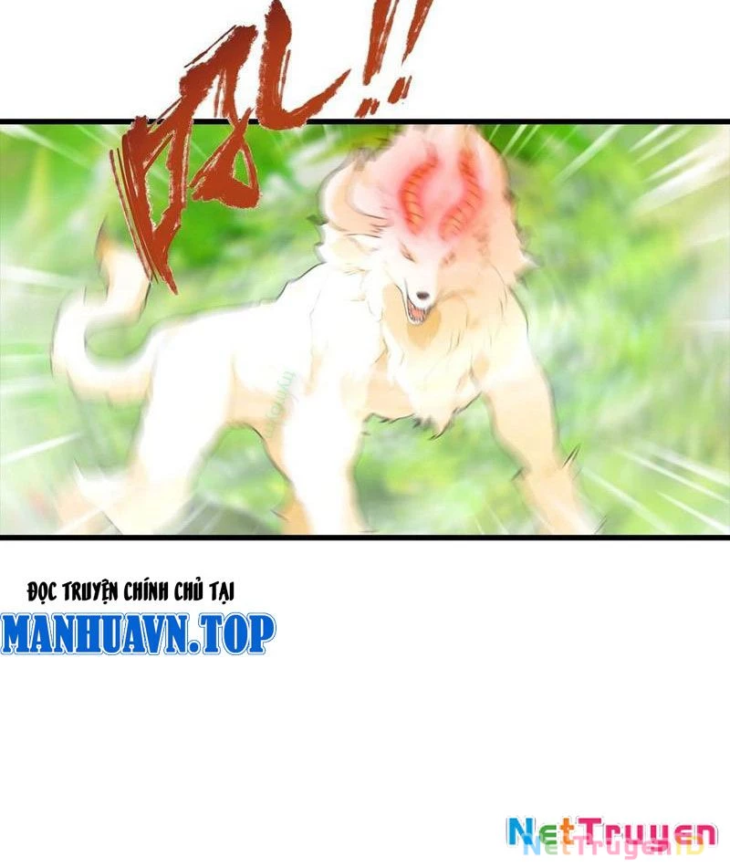 Đô Thị Thánh Thủ: Ta Là Y Võ Đỉnh Phong Chapter 111 - Trang 2
