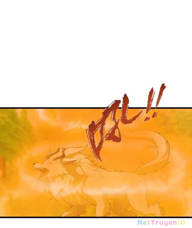 Đô Thị Thánh Thủ: Ta Là Y Võ Đỉnh Phong Chapter 111 - Trang 2