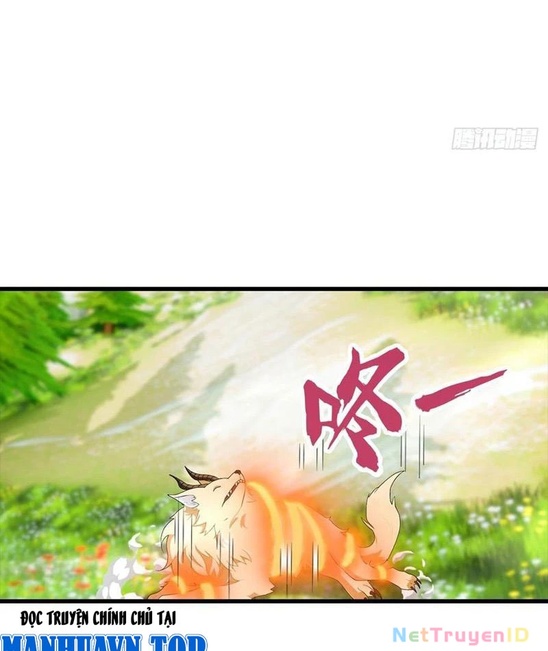 Đô Thị Thánh Thủ: Ta Là Y Võ Đỉnh Phong Chapter 111 - Trang 2