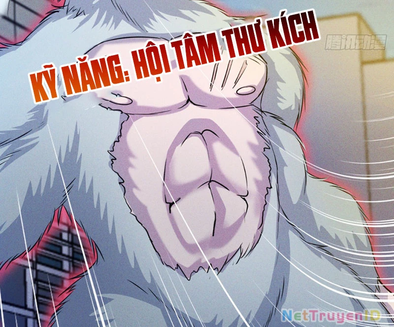 Ta vô địch phản sáo lộ Chapter 6 - 14