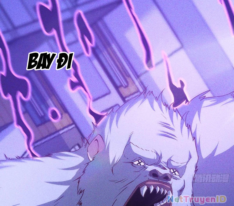 Ta vô địch phản sáo lộ Chapter 6 - 65