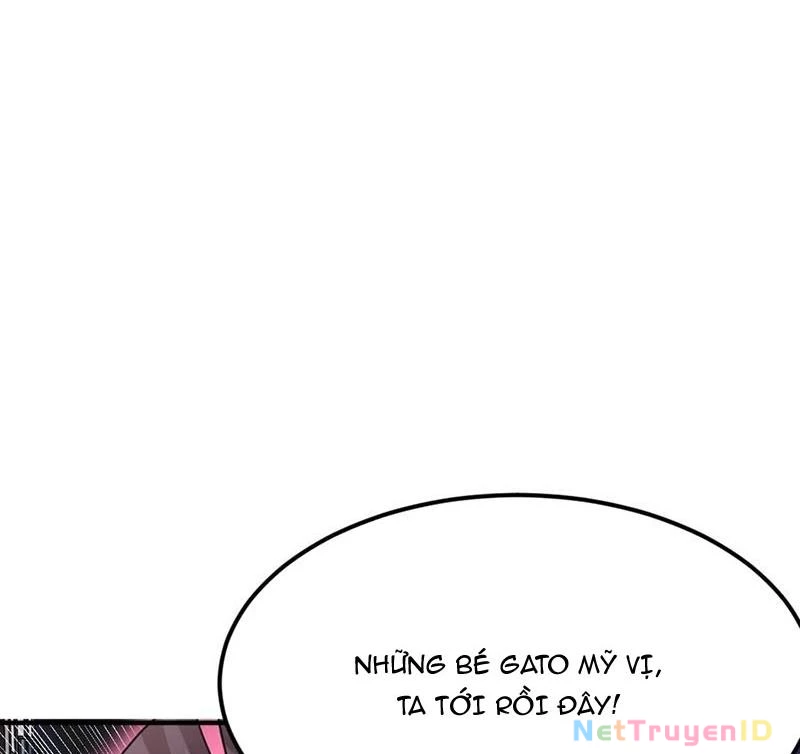 Ta vô địch phản sáo lộ Chapter 46 - 64