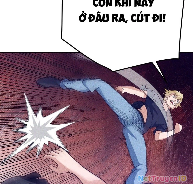 Ta vô địch phản sáo lộ Chapter 49 - 75