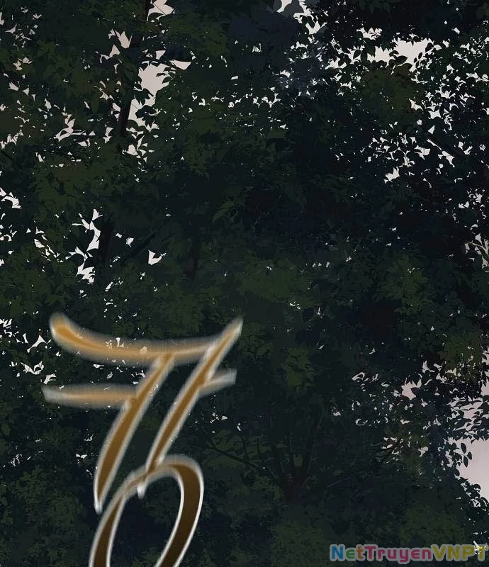 Tòng Bách Chapter 37 - 25