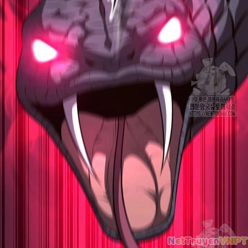 Tòng Bách Chapter 38 - 102