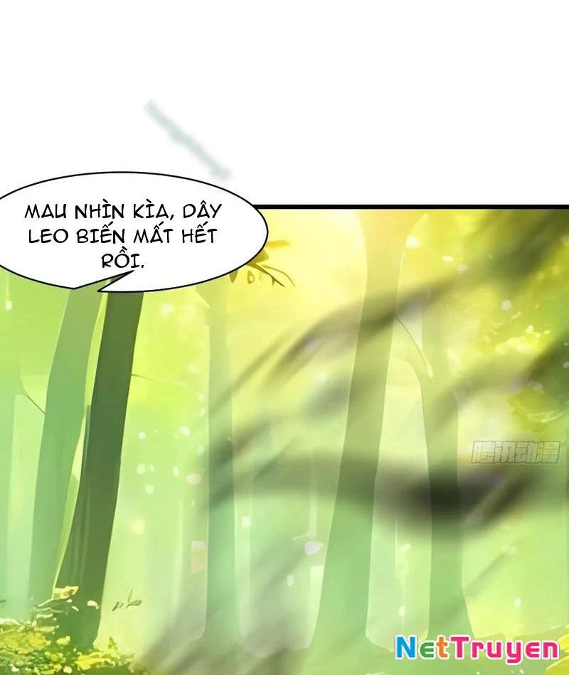Phu Nhân Nhà Ta Đến Từ Địa Phủ Ngàn Năm Chapter 141 - 26