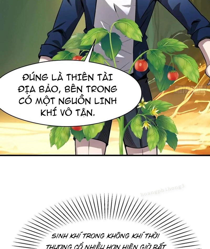 Phu Nhân Nhà Ta Đến Từ Địa Phủ Ngàn Năm Chapter 142 - 3