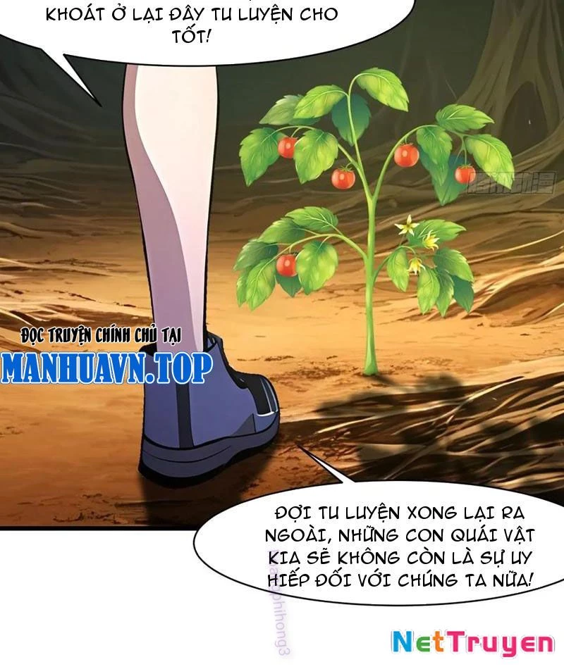 Phu Nhân Nhà Ta Đến Từ Địa Phủ Ngàn Năm Chapter 143 - 21