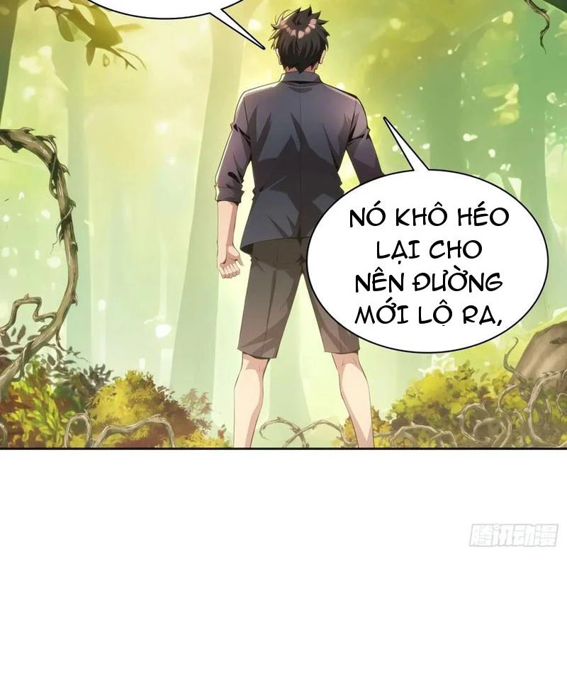 Phu Nhân Nhà Ta Đến Từ Địa Phủ Ngàn Năm Chapter 144 - 19