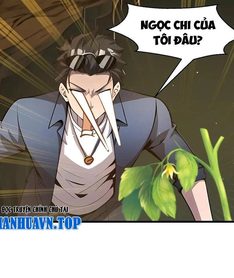 Phu Nhân Nhà Ta Đến Từ Địa Phủ Ngàn Năm Chapter 146 - 49