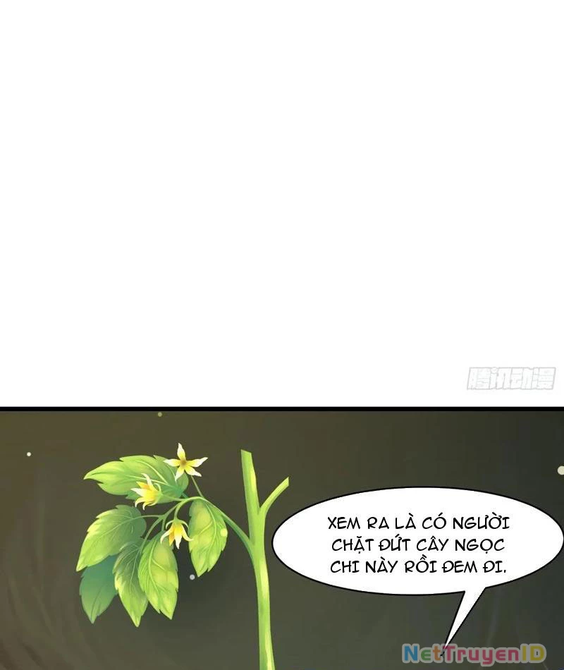 Phu Nhân Nhà Ta Đến Từ Địa Phủ Ngàn Năm Chapter 146 - 57