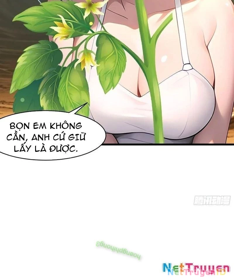 Phu Nhân Nhà Ta Đến Từ Địa Phủ Ngàn Năm Chapter 146 - 61