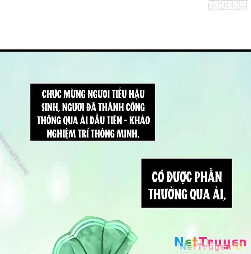 Phu Nhân Nhà Ta Đến Từ Địa Phủ Ngàn Năm Chapter 148 - 71