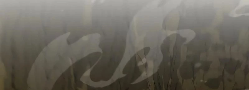 Thức Tỉnh Đầu Bếp Hậu Tận Thế Chapter 36 - 90