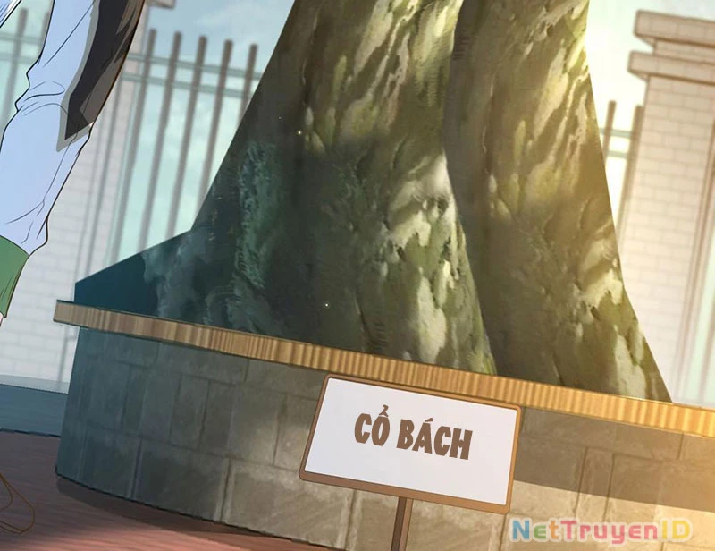 Ta Là Tiên Tôn Thiên Giới Bị Mất Trí Nhớ Chapter 2 - 29
