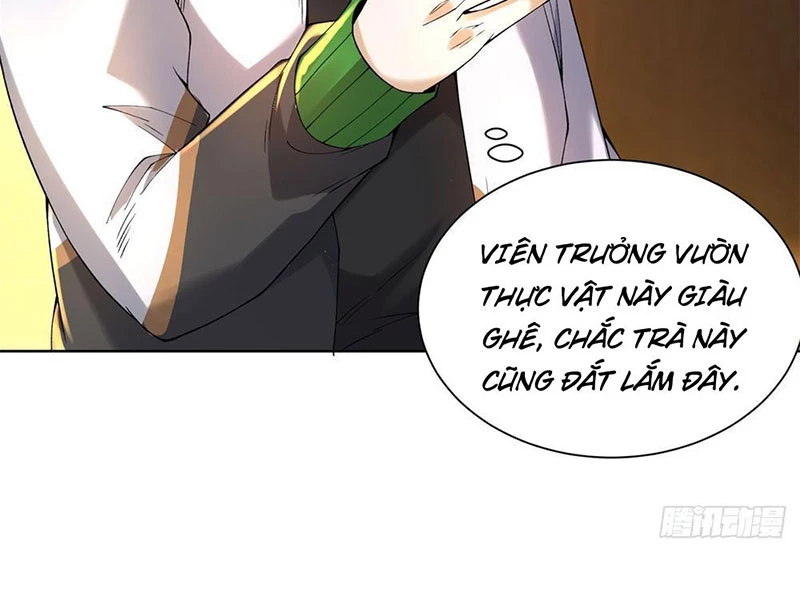 Ta Là Tiên Tôn Thiên Giới Bị Mất Trí Nhớ Chapter 3 - 13