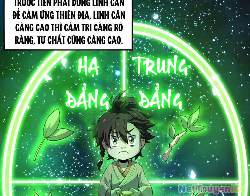 Xuyên Không Đến Thế Giới Tu Chân, Ta Vậy Mà Kích Hoạt Được Hệ Thống Plants vs Zombie Chapter 6 - 6