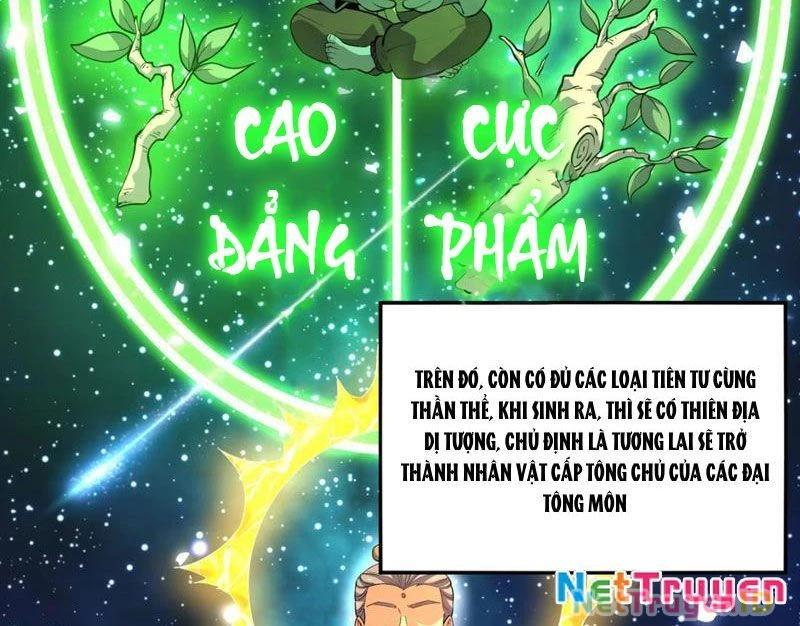 Xuyên Không Đến Thế Giới Tu Chân, Ta Vậy Mà Kích Hoạt Được Hệ Thống Plants vs Zombie Chapter 6 - 7