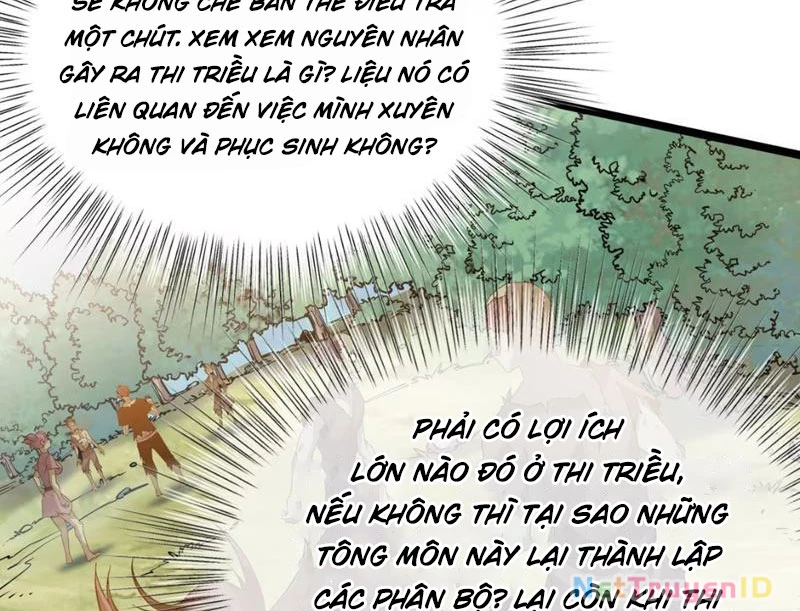 Xuyên Không Đến Thế Giới Tu Chân, Ta Vậy Mà Kích Hoạt Được Hệ Thống Plants vs Zombie Chapter 8 - 14