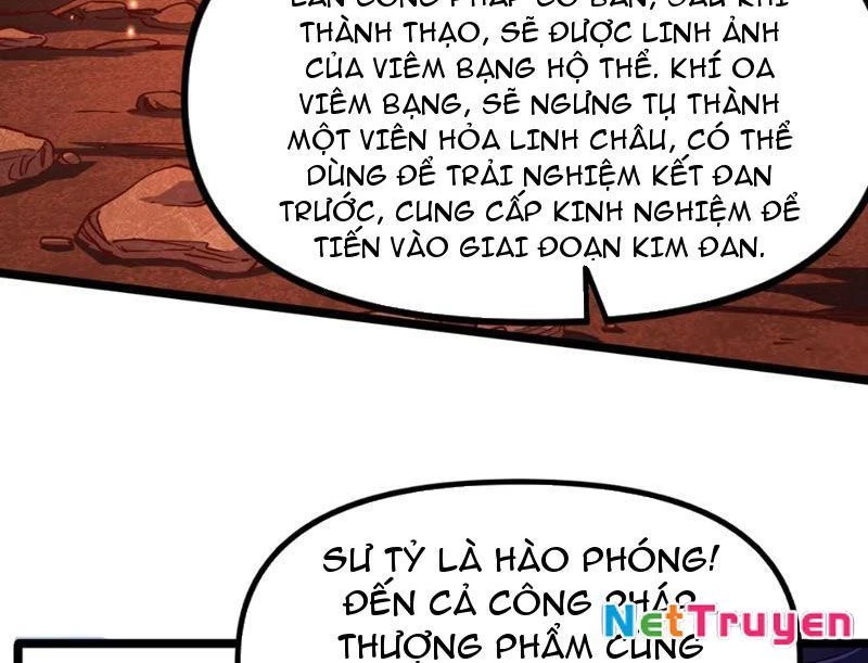 Xuyên Không Đến Thế Giới Tu Chân, Ta Vậy Mà Kích Hoạt Được Hệ Thống Plants vs Zombie Chapter 8 - 92