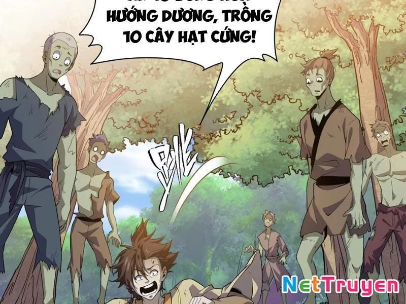 Xuyên Không Đến Thế Giới Tu Chân, Ta Vậy Mà Kích Hoạt Được Hệ Thống Plants vs Zombie Chapter 9 - 71