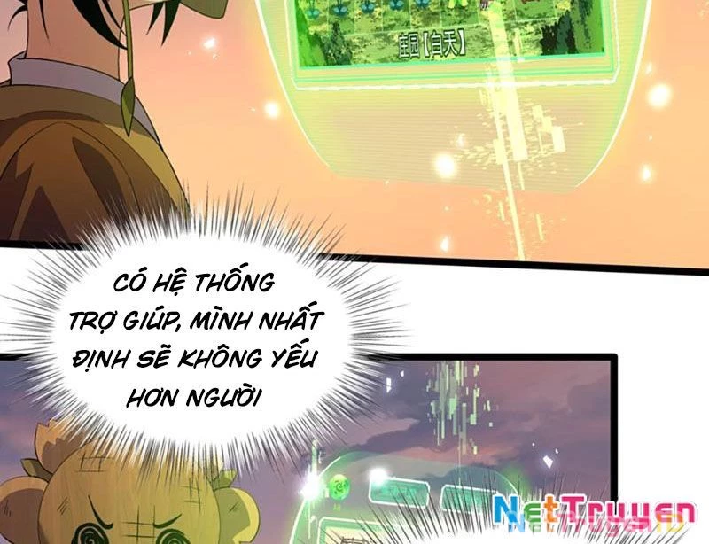 Xuyên Không Đến Thế Giới Tu Chân, Ta Vậy Mà Kích Hoạt Được Hệ Thống Plants vs Zombie Chapter 10 - 91