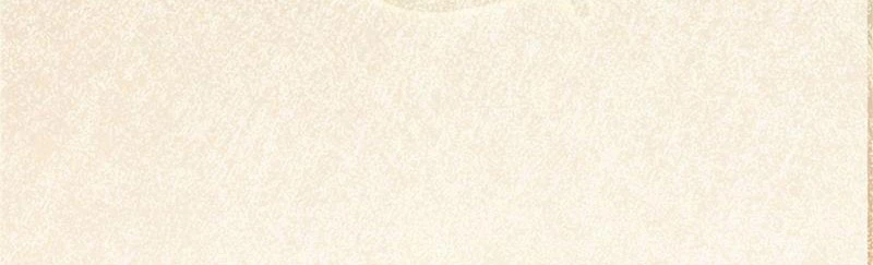 Tân Sủng Mị Chapter 25 - 57