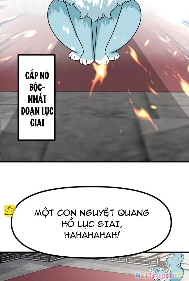 Tân Sủng Mị Chapter 28 - 37