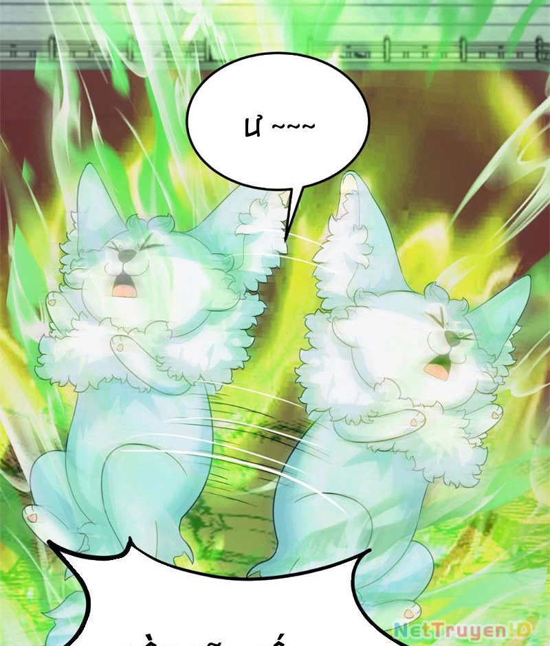 Tân Sủng Mị Chapter 32 - 22