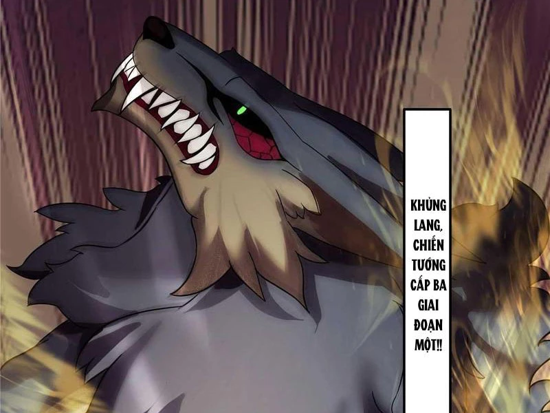 Tân Sủng Mị Chapter 33 - 23