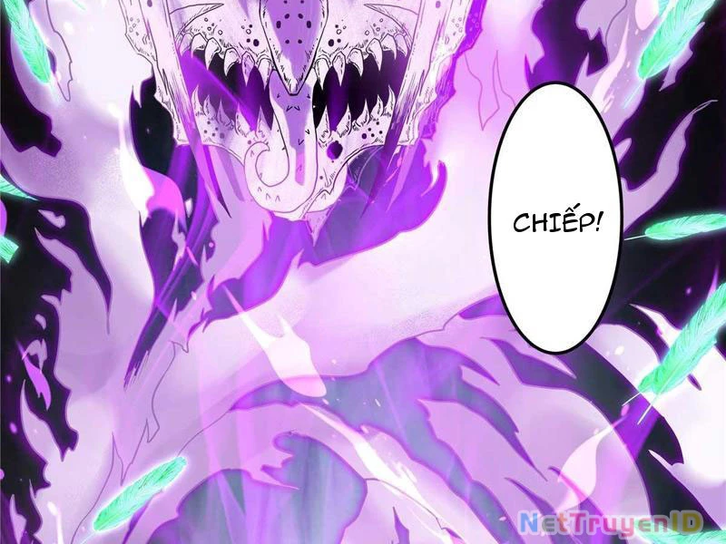 Tân Sủng Mị Chapter 33 - 69