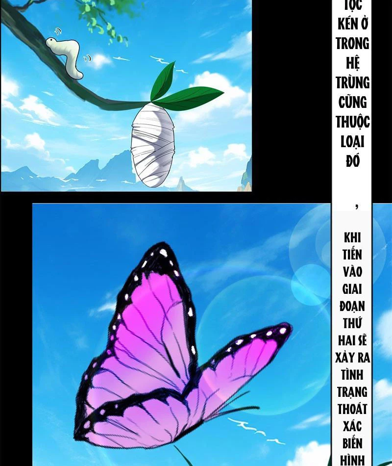 Tân Sủng Mị Chapter 38 - 4