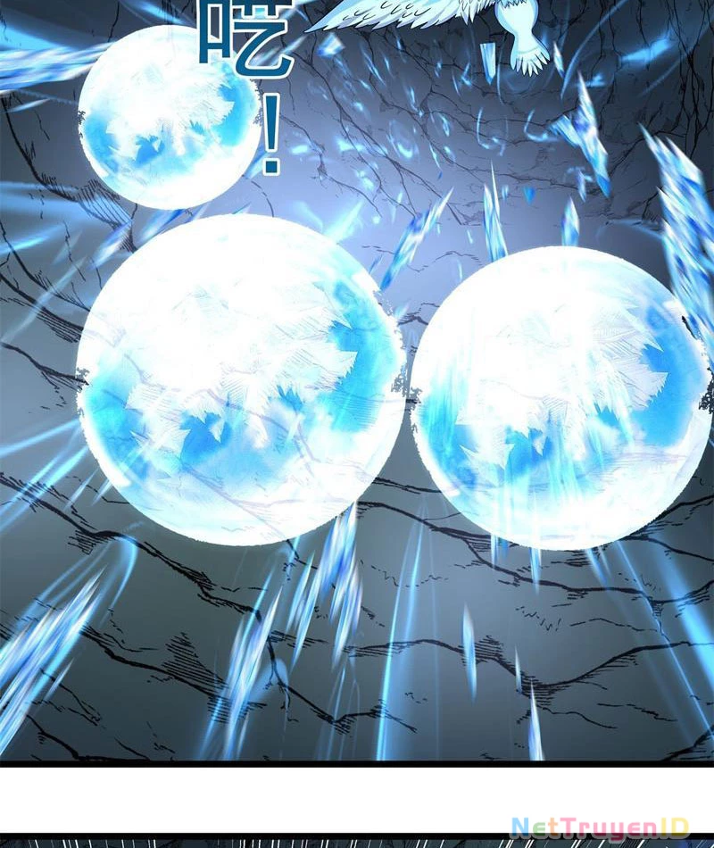 Tân Sủng Mị Chapter 39 - 29