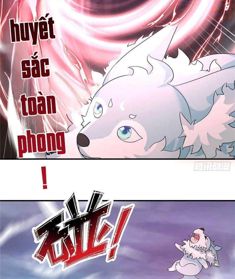 Tân Sủng Mị Chapter 41 - 12
