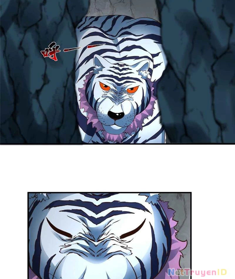 Tân Sủng Mị Chapter 44 - 21