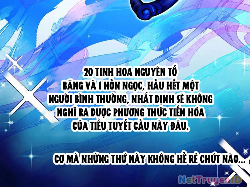 Toàn Cầu Ngự Thú: Ta có thế thấy lộ tuyến tiến hóa Chapter 1 - 107