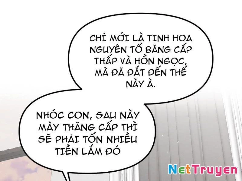 Toàn Cầu Ngự Thú: Ta có thế thấy lộ tuyến tiến hóa Chapter 1 - 166