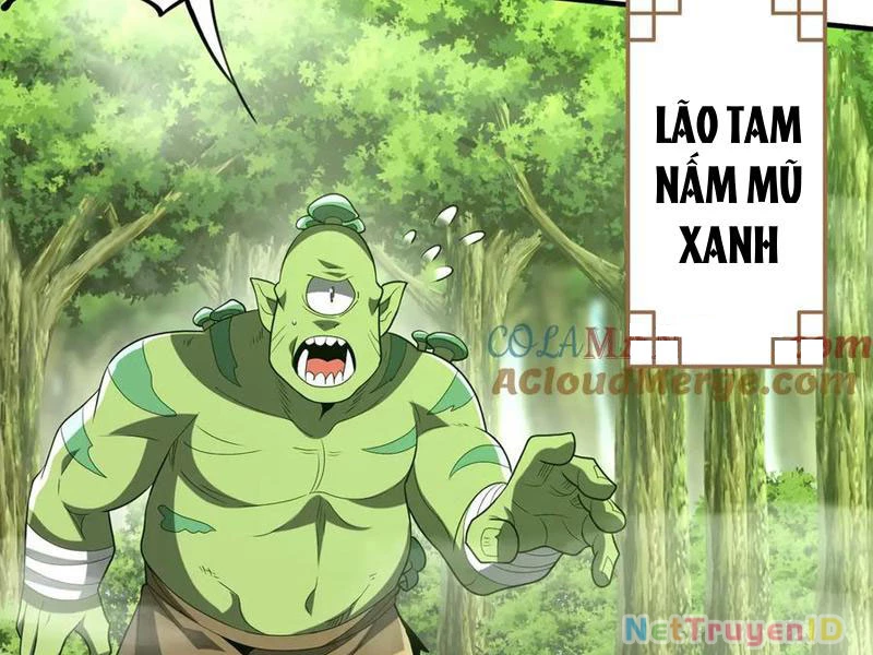 Ma tu tái sinh: Khởi đầu nhặt được một hành tinh zombie Chapter 28 - 60