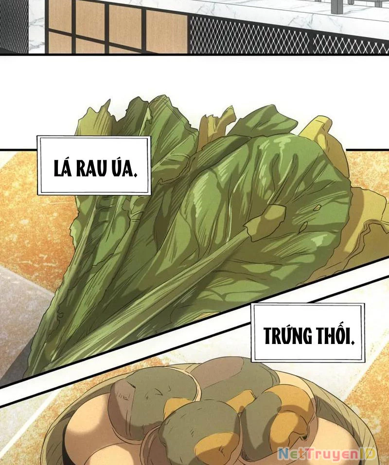 Ta Bán Hàng Vỉa Hè Ở Mạt Thế Chapter 36 - 51