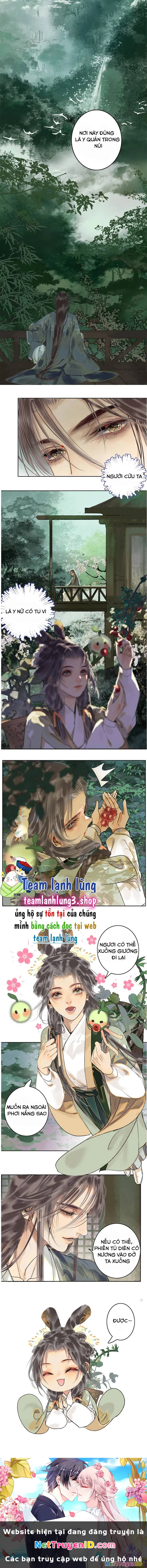 Tiểu Sư Muội Không Muốn Phi Thăng Chapter 8 - 4