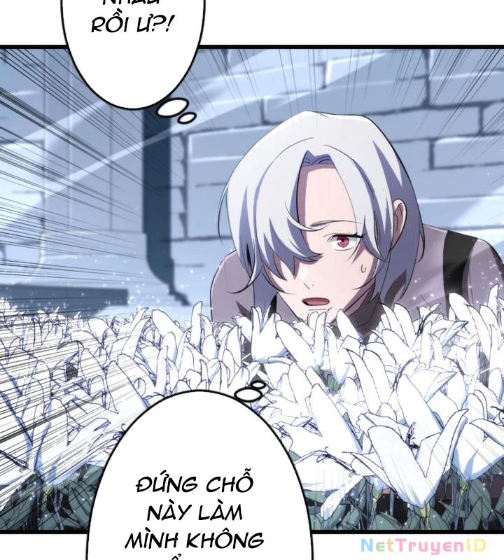 Vô Song Cùng Với Vũ Khí Ẩn Chapter 20 - 65
