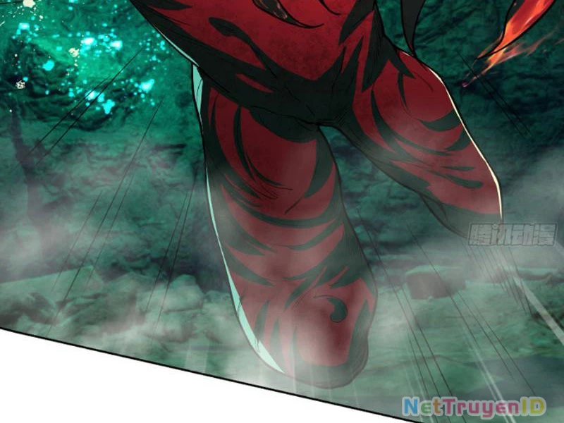 Ngủ Say Vạn Cổ: Xuất Thế Quét Ngang Chư Thiên Chapter 5 - Trang 2