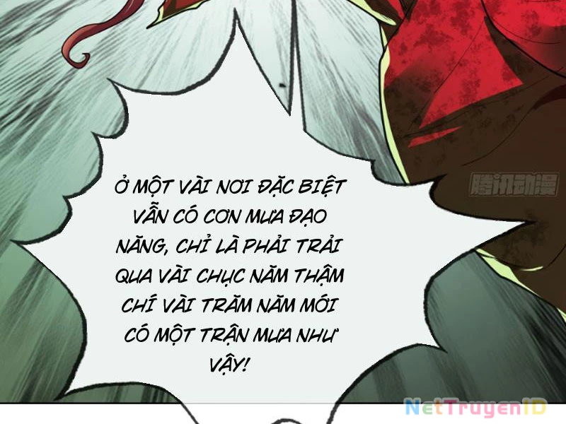 Ngủ Say Vạn Cổ: Xuất Thế Quét Ngang Chư Thiên Chapter 5 - Trang 2