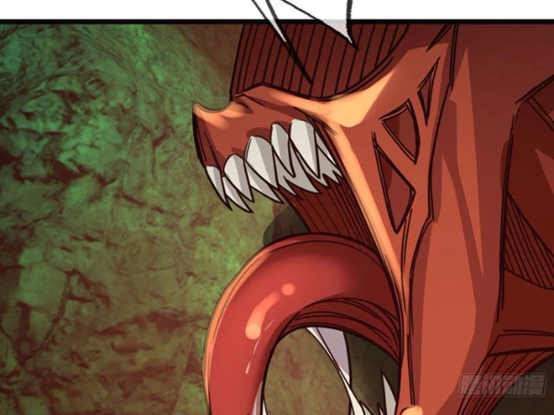 Ngủ Say Vạn Cổ: Xuất Thế Quét Ngang Chư Thiên Chapter 5 - Trang 2