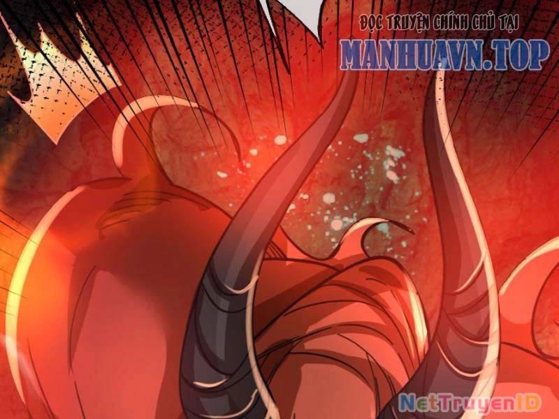 Ngủ Say Vạn Cổ: Xuất Thế Quét Ngang Chư Thiên Chapter 5 - Trang 2